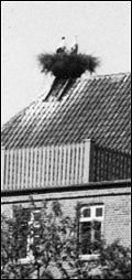 Storkereden på taget af Junkers Institut